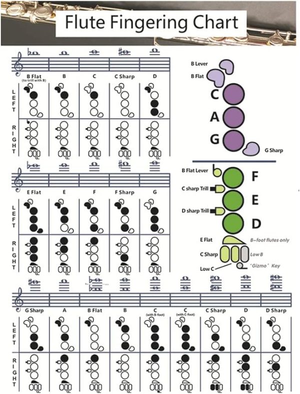 Flute Chord Chart for Beginners by iayokocc Musical-1