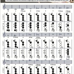 Flute Chord Chart for Beginners by iayokocc Musical-0