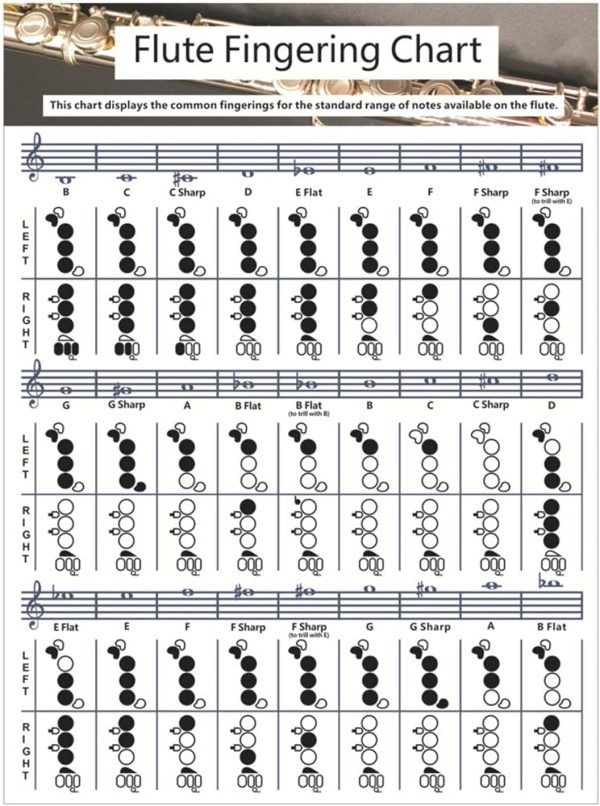 Flute Chord Chart for Beginners by iayokocc Musical-0